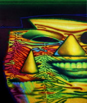 Ed Paschke