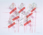 Ghada Amer